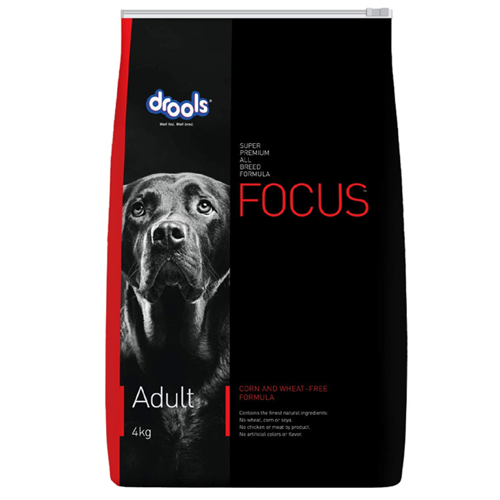 Focus Adult