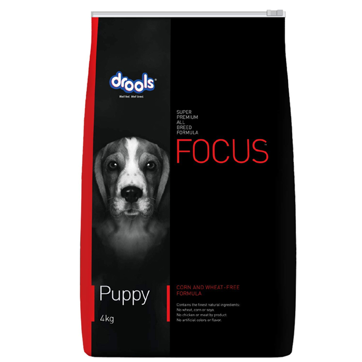 Focus Puppy