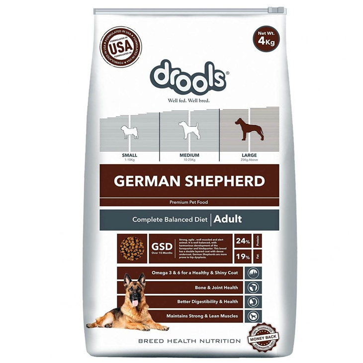 German Shepherd Adult