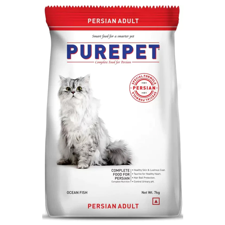 Cat Persian Ocean Fish