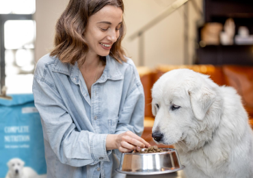 How to Choose the Right Food for Your Dog